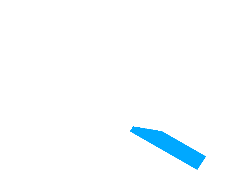 ray_1