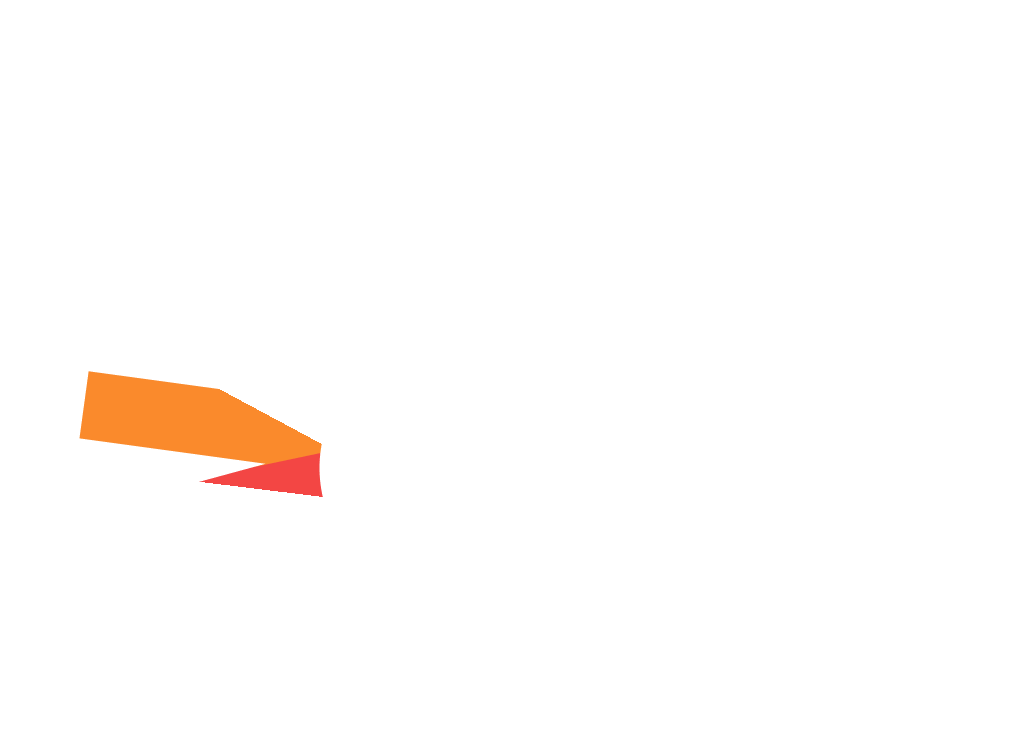 ray_10